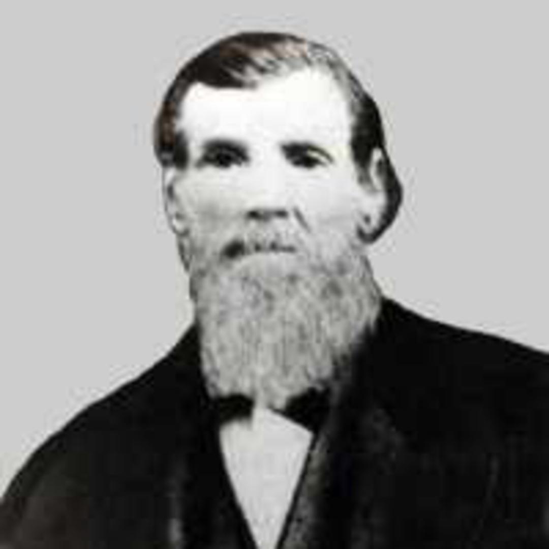 David Avery Curtis (1820 - 1885) Profile